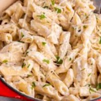 PENNE ALFREDO